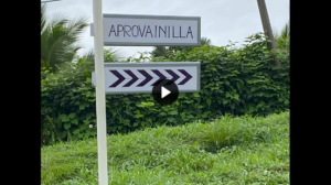 Taller Aprovainilla Enero 1/3